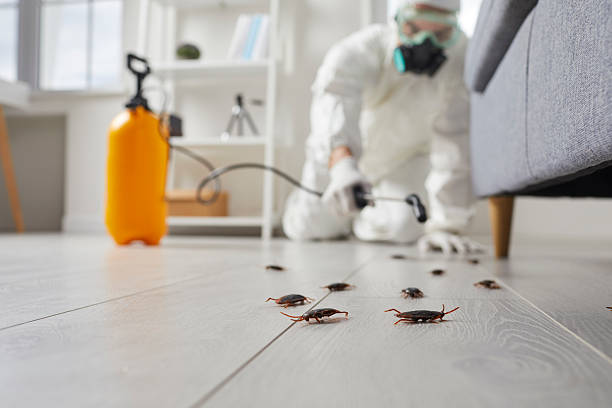Commercial Kitchen Cockroach Control in Randallstown